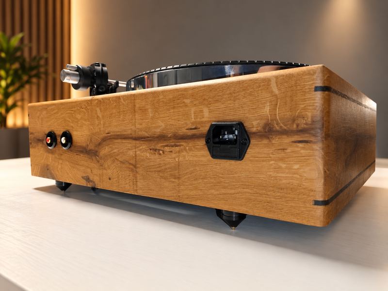 Thorens TD 160 — Retro: prese RCA e presa di alimentazione